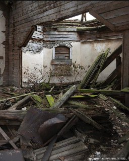 Иллюстрация 5