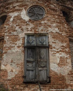 Иллюстрация 7