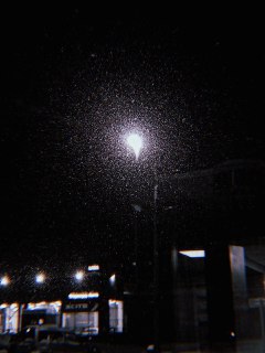 Олег Царёв: о важности уважения к чужому мнению