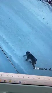 Рысь замечена в ХМАО около детского сада