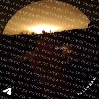 Иллюстрация 3