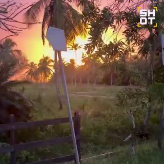 Иллюстрация 3