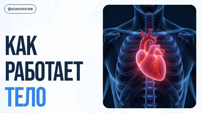 Почему мозг рисует образы в темноте