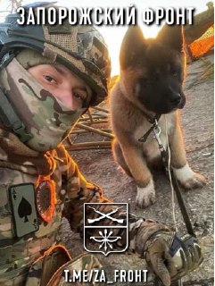 Обзор событий на Запорожском фронте