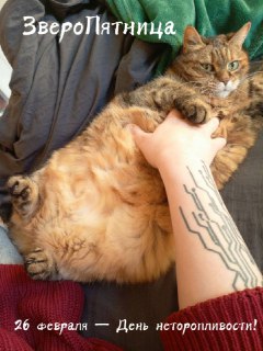 День неторопливости: признание ошибки с юмором