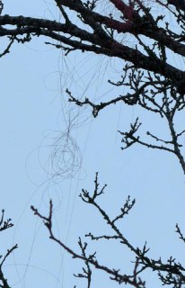 Иллюстрация 2