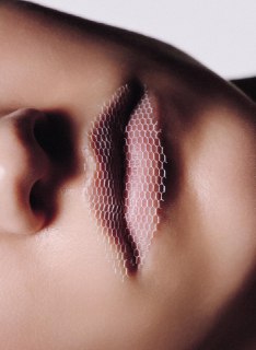 Иллюстрация 8