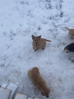 Иллюстрация 2