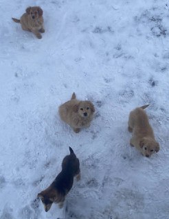 Иллюстрация 3