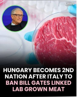 Венгрия запретила искусственное мясо