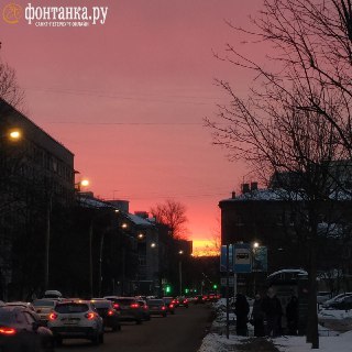 Иллюстрация 8