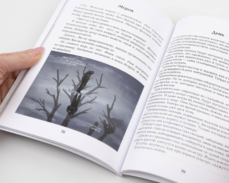 Иллюстрация 2