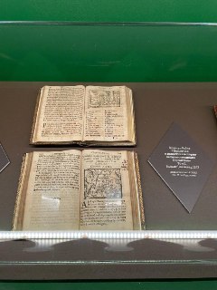 Иллюстрация 5