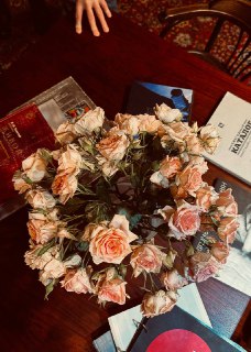 Иллюстрация 5