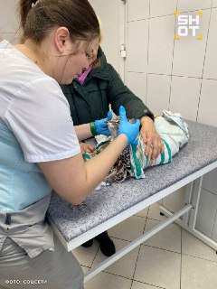 Иллюстрация 2