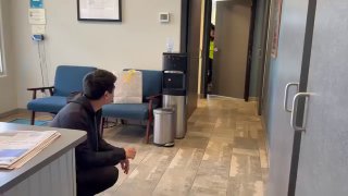 Пес выжил 43 дня в горах после потери во время переезда