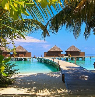 Иллюстрация 5