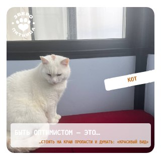 Международный день оптимиста