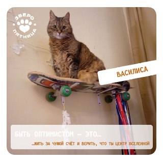 Иллюстрация 2