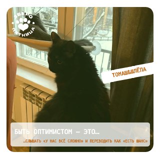 Иллюстрация 5