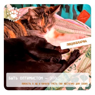 Иллюстрация 6