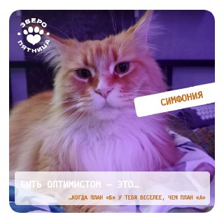 Иллюстрация 7