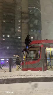 Зацеперы рисковали жизнью в Петербурге