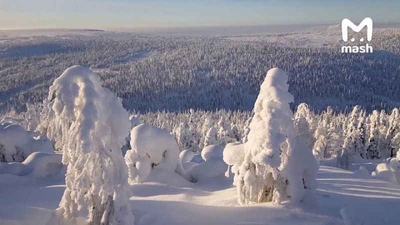 Иллюстрация 2