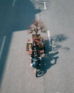 Вьетнамский Новый год и символизм цветов