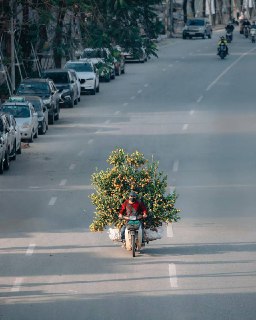 Иллюстрация 2