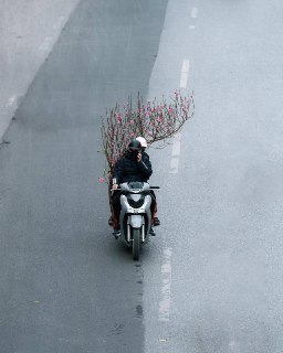 Иллюстрация 3