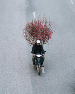 Иллюстрация 4