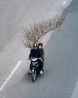 Иллюстрация 6