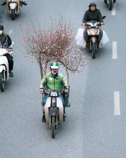 Иллюстрация 7