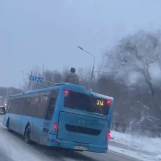 Школьника оштрафовали за поездку на крыше автобуса в Москве