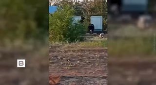 Приговор за диверсию на железной дороге