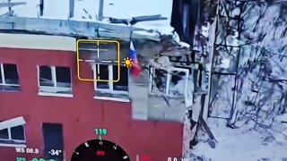 Иллюстрация 1