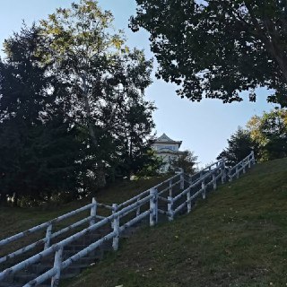 Иллюстрация 2