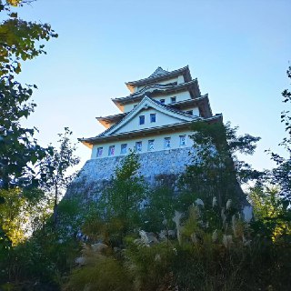 Иллюстрация 3