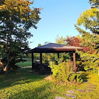 Иллюстрация 4