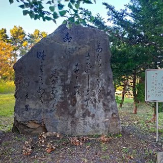 Иллюстрация 5