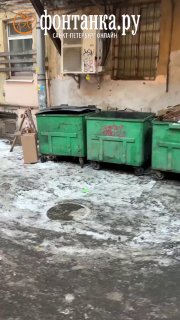 Жители Петербурга борются с крысами арт-акциями