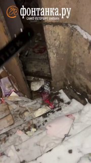 Иллюстрация 2