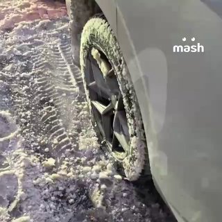 Иллюстрация 3