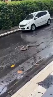 Иллюстрация 2