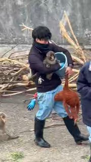 Панчи получил повышение