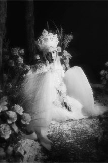 Иллюстрация 7