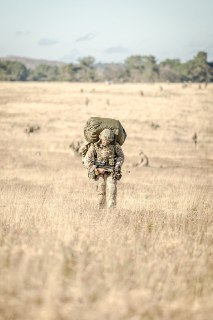 Иллюстрация 6