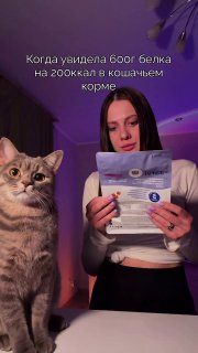 Кошачий корм как замена протеину?