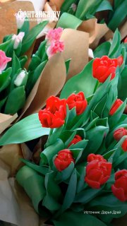 Думская башня украшена тюльпанами